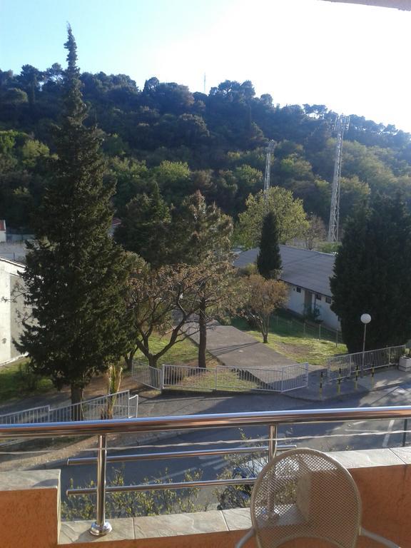 Guesthouse Lautasevic Petrovac Kültér fotó