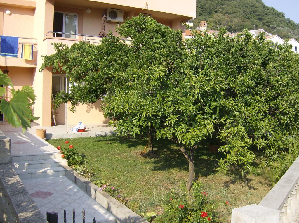 Guesthouse Lautasevic Petrovac Kültér fotó